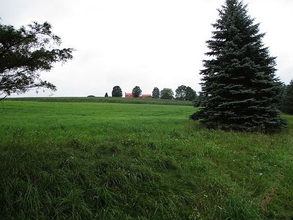4th image of Dodge Hollow Rd