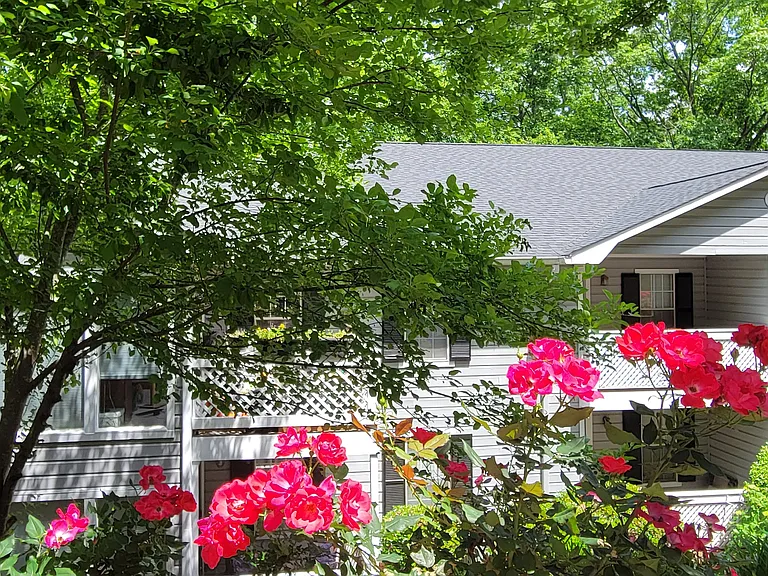 805 Vicksburg Pl — Photo 1