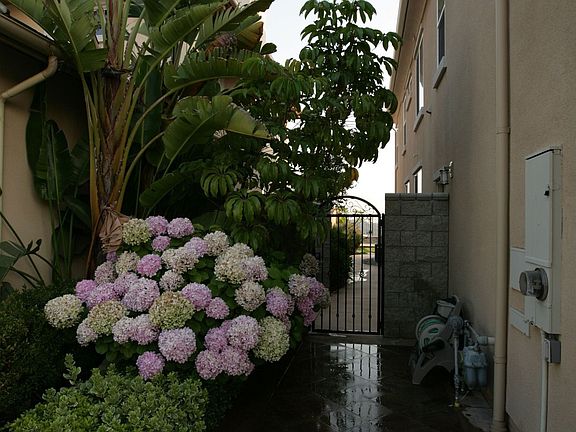 Side Gate