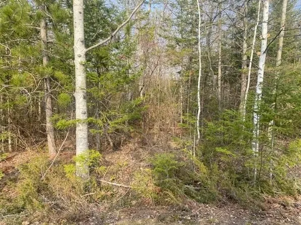 LOT 212 Timberway Ct, Presque Isle, MI 49777