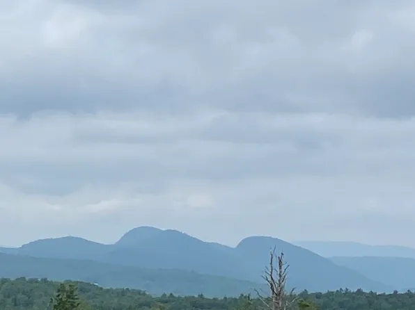 356 Dickinson Hill Road, Bolton, NY 12824