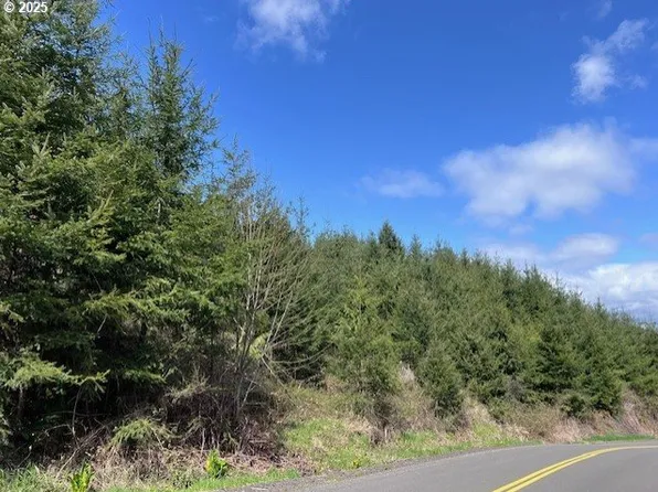 Palm Hill Rd, Clatskanie, OR 97016
