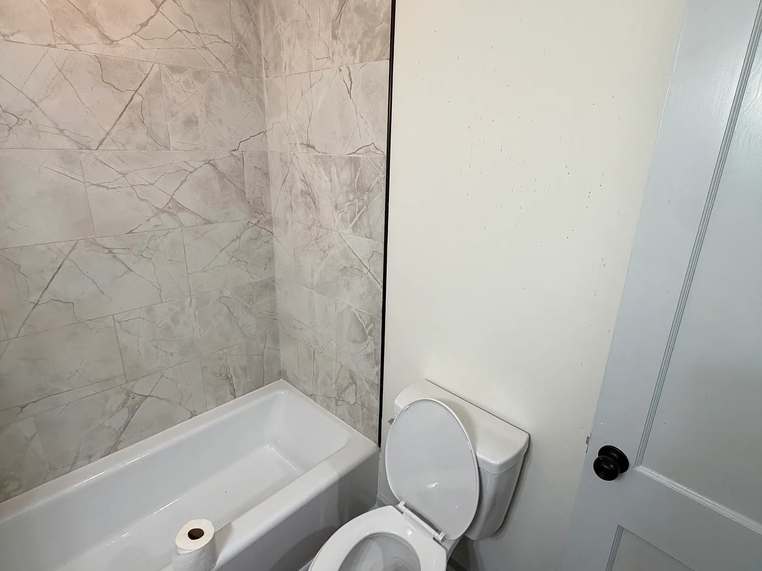 3 bed, 1248 sqft, $1,800 — Photo 3