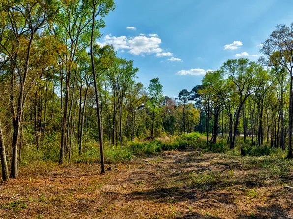 2502 Staley Ave, Savannah, GA 31405