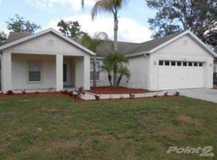 5809 Black Walnut Ct, Tampa, FL 33625