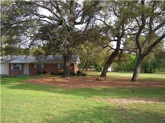Oak Trees in Front Yard