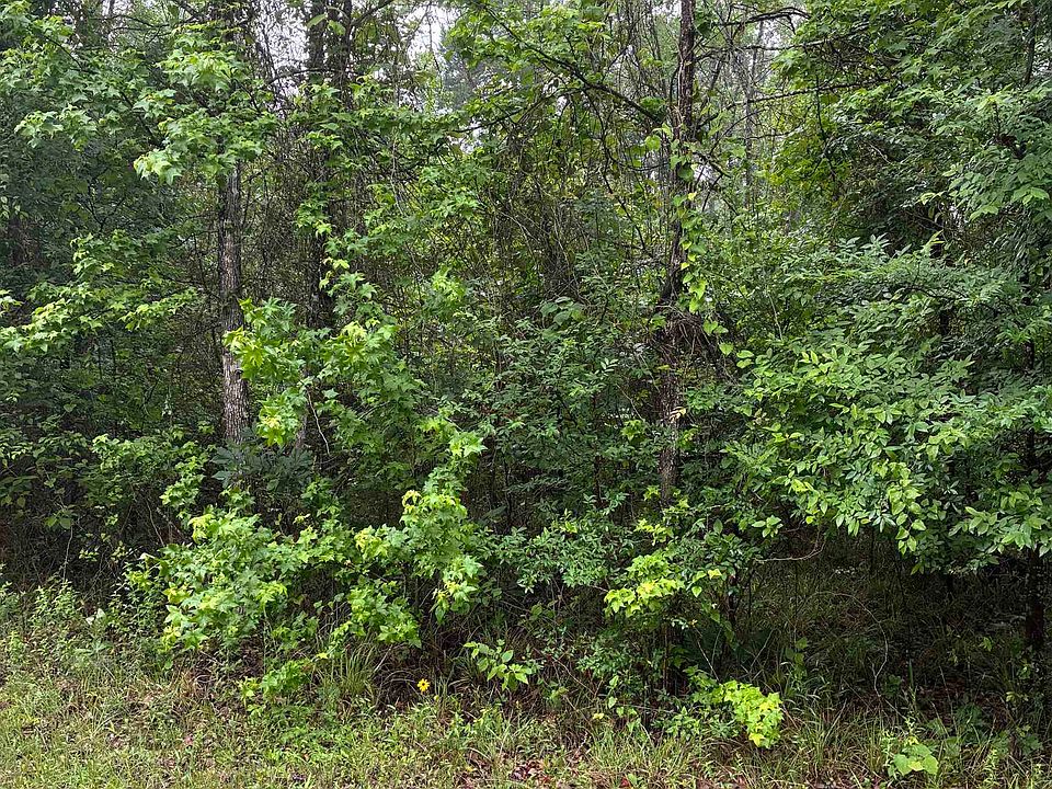 2nd image of 521 Eagle Bluff Loop Lot 521