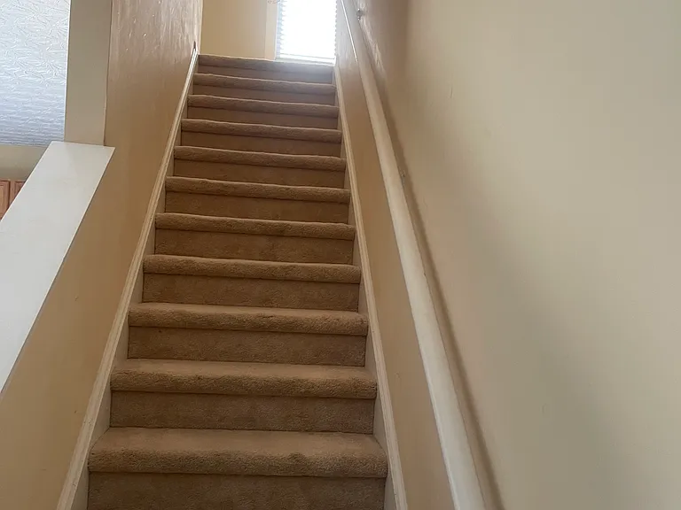 1281 Matt Moore Ct — Photo 6