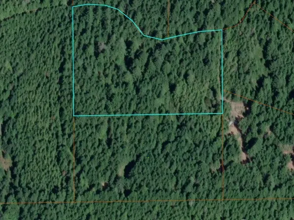 1741 NE Hahobas Drive, Tahuya, WA 98588