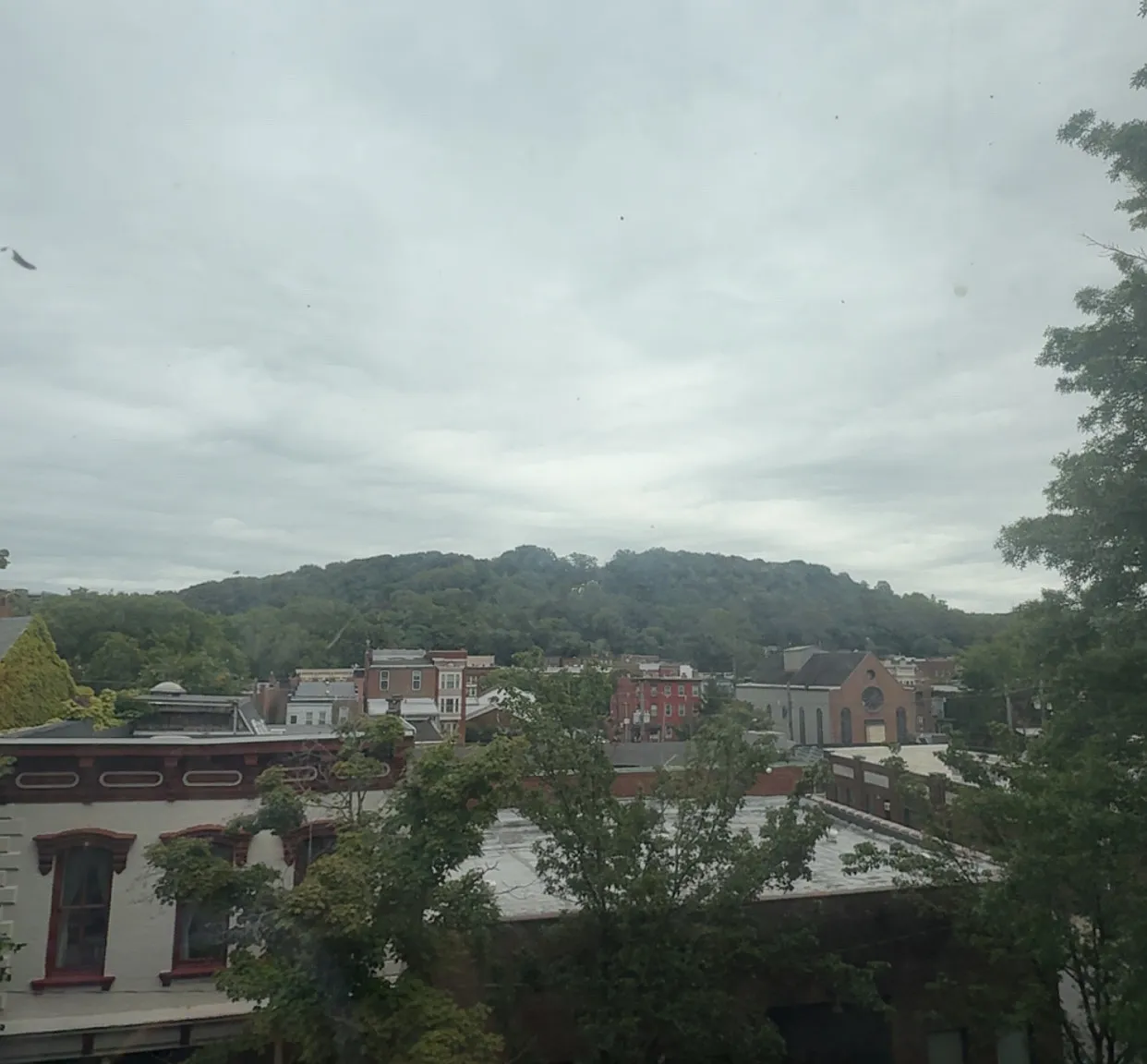 4 bed, 1500 sqft, $1,800 — Photo 4