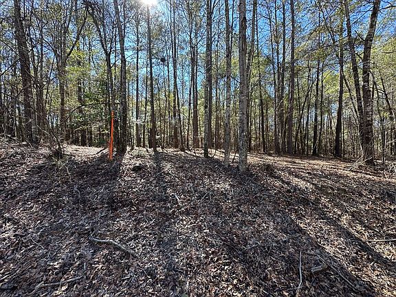 4th image of 252 Pebble Cove Rd