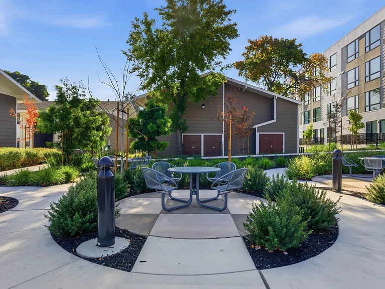 Courtyard Area