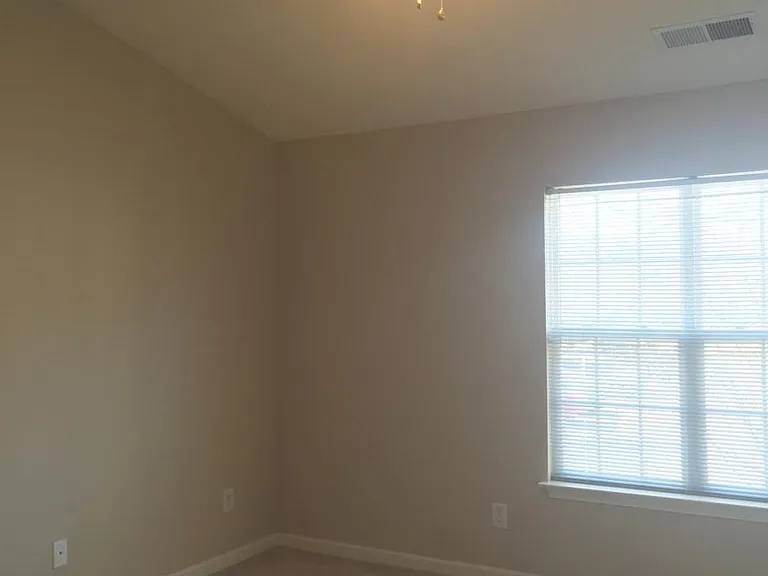 112 Bridford Downs Dr — Photo 9