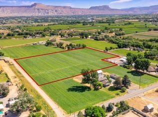 313 33rd Rd, Palisade, CO 81526