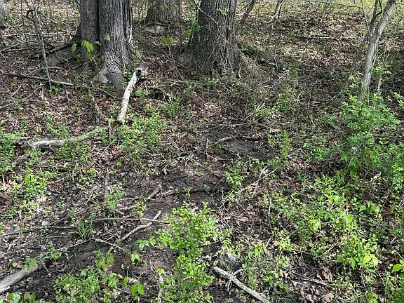 5th image of LOT 1 Yarnell Rd