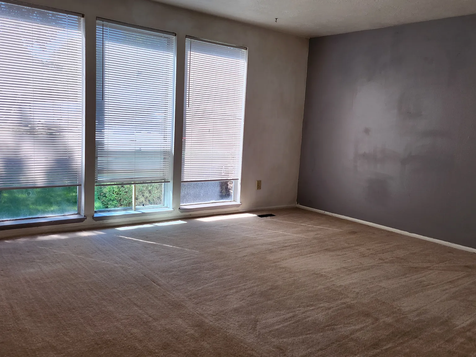 2 bed, 1.5 bath, 1227 sqft, $1,700 — Photo 4