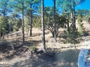 116 Whitney Dr, Ruidoso, NM 88345