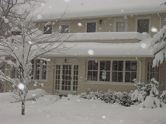 Winter Wonderland