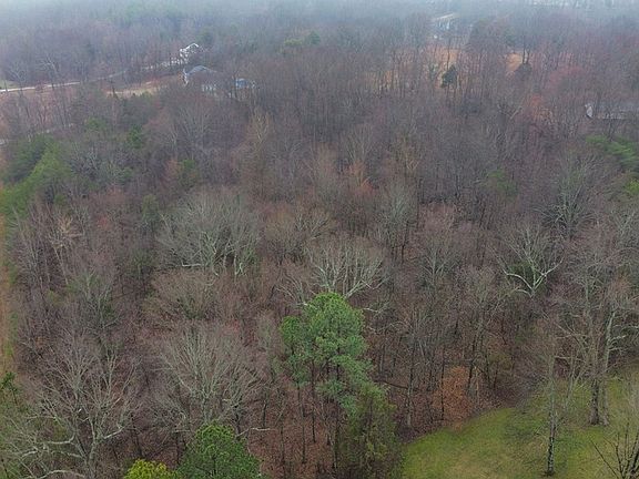 2nd image of 0 Hummingbird Cv