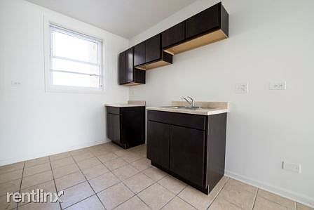 701 N Lotus Apartments Chicago Kitchen_2