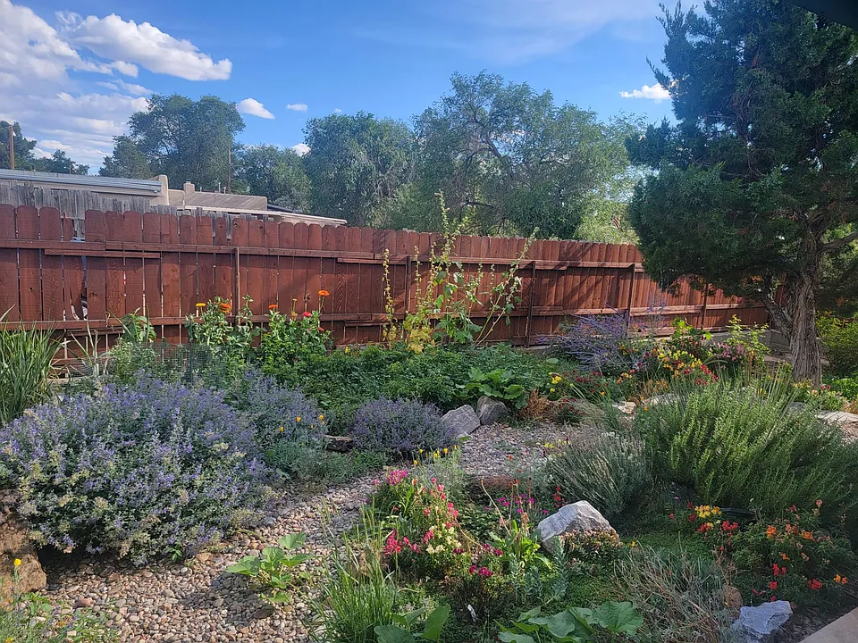 Beautiful Enclosed yard!