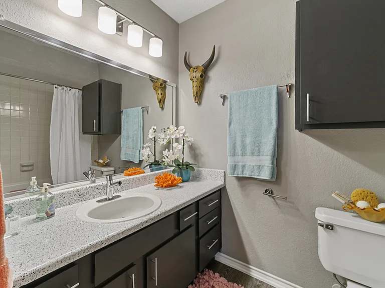 Denton, TX Apartment Homes — Photo 10