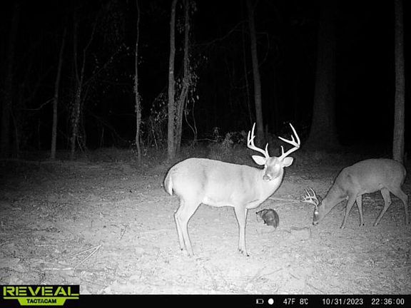 3rd image of 0 E Doc Clark Rd