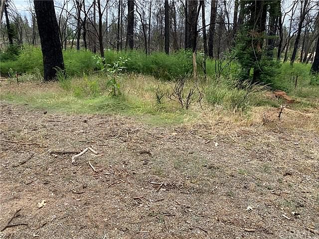 2nd image of 724 Sunset Dr