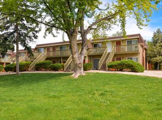 810 Stone Mountain Dr APT 208, Windsor, CO 80550