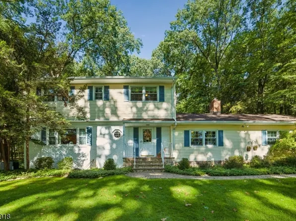 21 Long Ridge Rd, Parsippany-Troy Hills Twp., NJ 07869