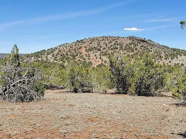 697 E Pawpaw Ln, Williams, AZ 86046