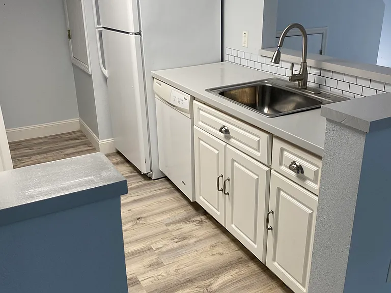 1335 Washington Palm Loop — Photo 18