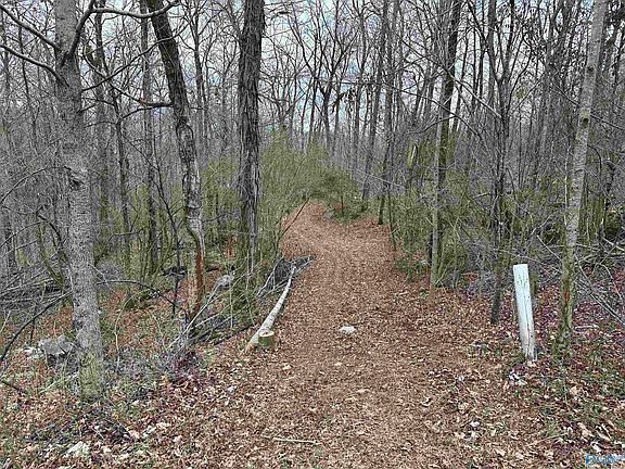 3rd image of 4621 Legacy Preserve Way SE