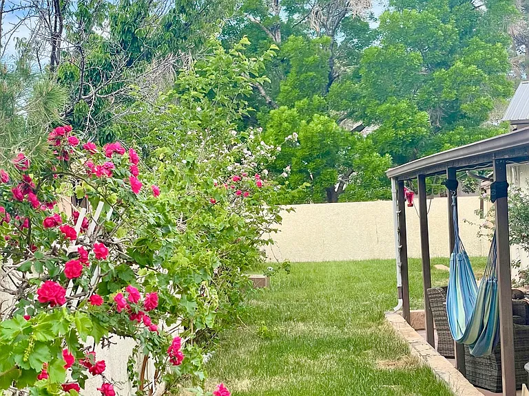Backyard
(Backyard is fenced)
