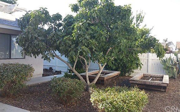 ATTRACTIVE BACKYARD LANDSCAPING