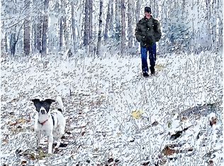 1387 Winton Rd, Ely, MN 55731