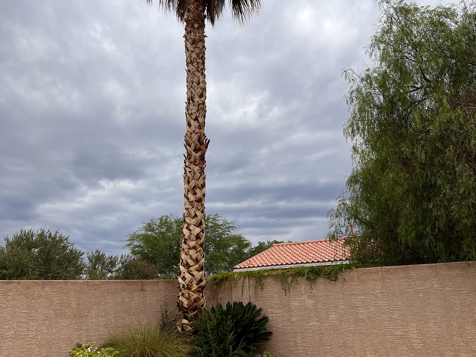 4 bed, 2.5 bath, 2099 sqft, $2,900 — Photo 2