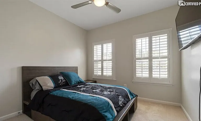 Cozy bedroom with TV, walk in closet and lighted ceiling fan