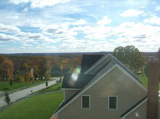 The View