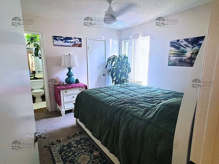 1810 Via Cuarto — Photo 20