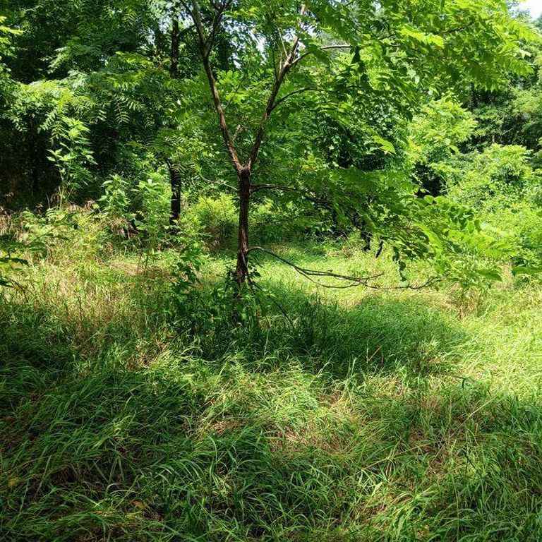 Real estate listing image