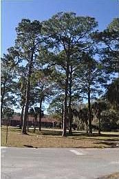 2nd image of 249 Us Highway 98