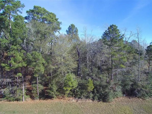 23481 Cannondale Loop, Montgomery, TX 77316