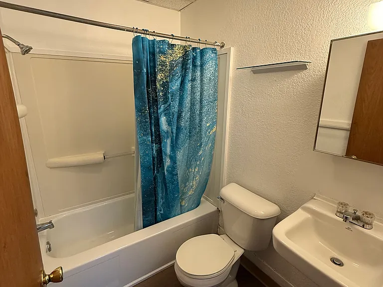 553 W Locust St #553 — Photo 7