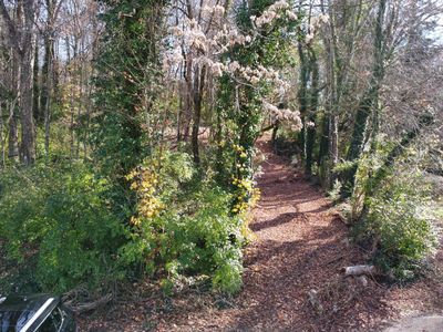0 Bacon Ln, Morristown, TN, 37813