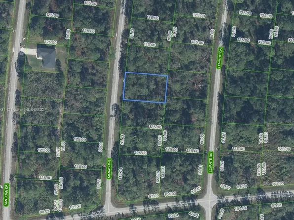 5032 Manati Ave, Sebring, FL 33872