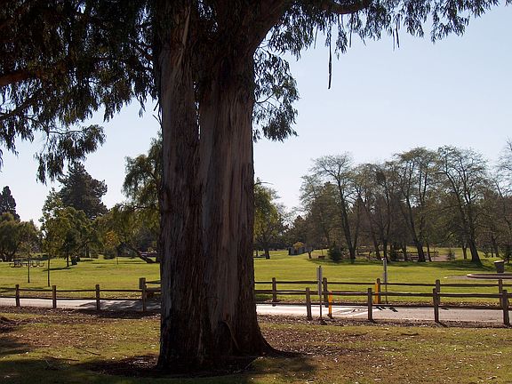 Park across the street