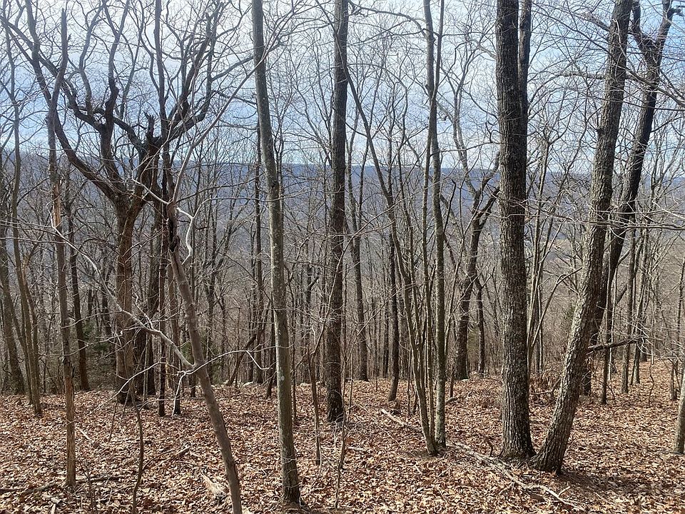 2nd image of Panther Path