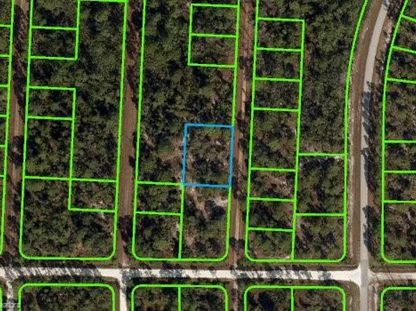 706 Neale St, Lake Placid, FL 33852