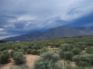 31 Yellow Sage Dr, Wellington, NV 89444